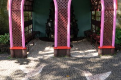 DSC09943