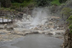 DSC00966