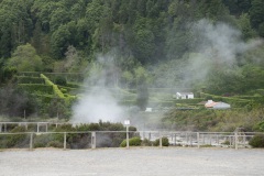 DSC00972