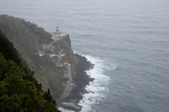 DSC00994