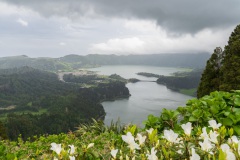 DSC01003