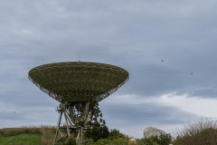DSC01055