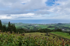 DSC01061
