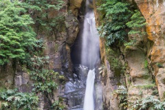 DSC01064