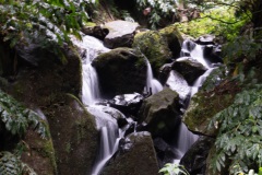 DSC01134