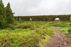 DSC01209