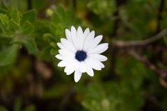 DSC00041