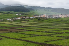 DSC00352