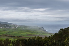 DSC00360