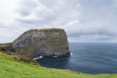 DSC00941