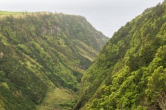 DSC00959