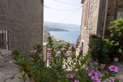 DSC09292