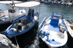 DSC09204