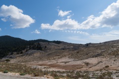 DSC07819