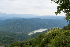 DSC08017