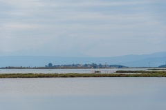 DSC08020