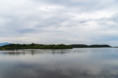 DSC08036