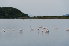 DSC08037