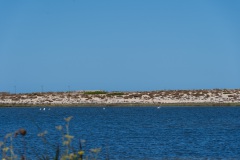 DSC06402