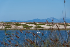 DSC06408