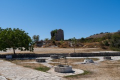 DSC06425