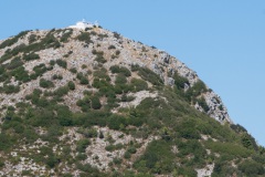 DSC06428
