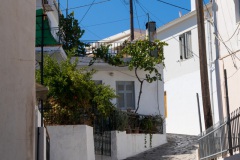 DSC06508