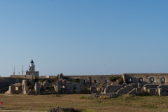 DSC06657