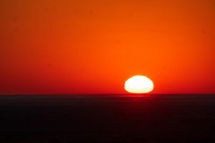 DSC08900