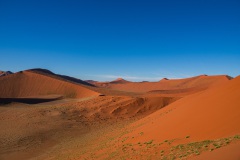 DSC07648