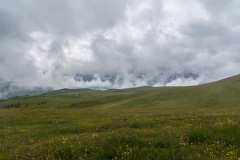 DSC01592