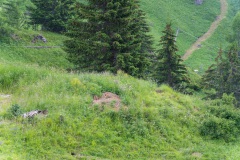 DSC01910