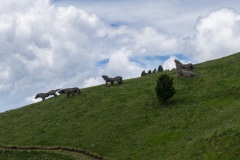 DSC02004